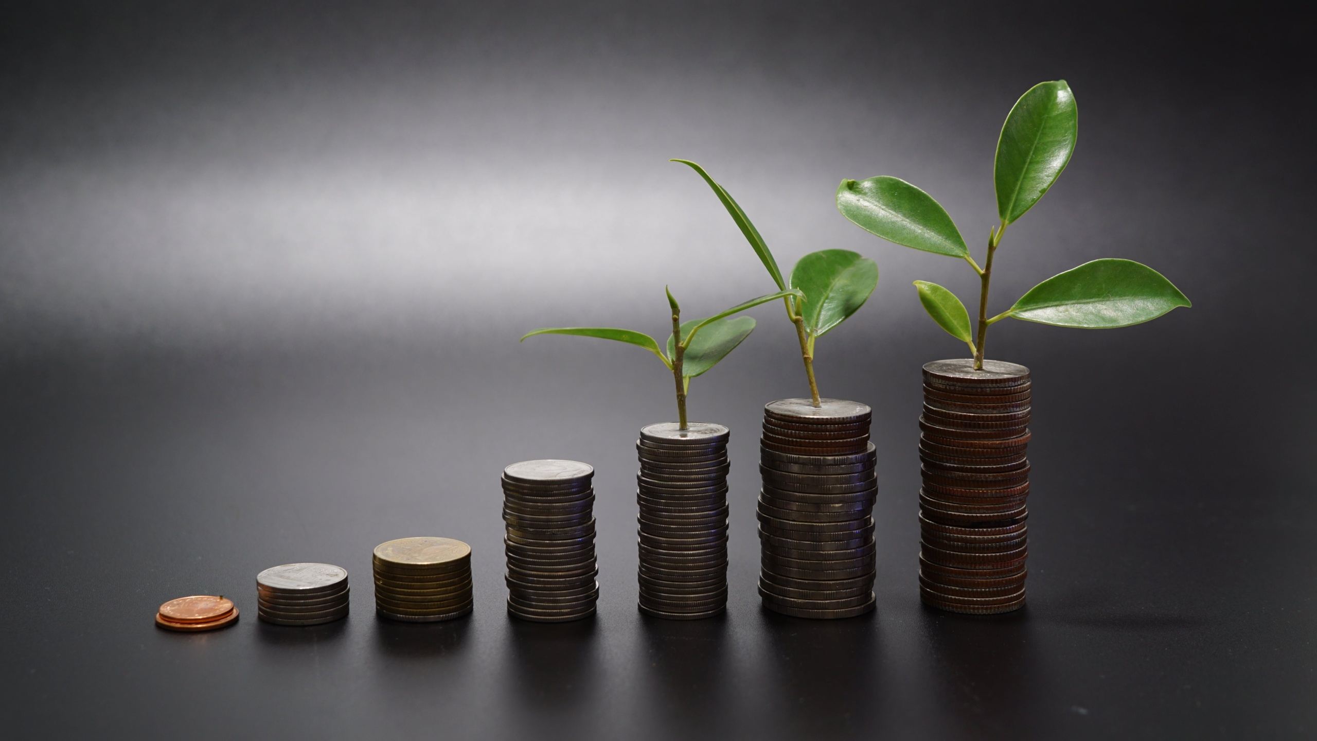Investments start with information